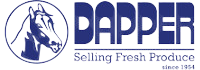 Read more about the article Dapper Agencies (Pty) Ltd