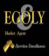 Read more about the article Egoly Market Agents (Pty) Ltd