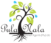 Read more about the article Pula Nala